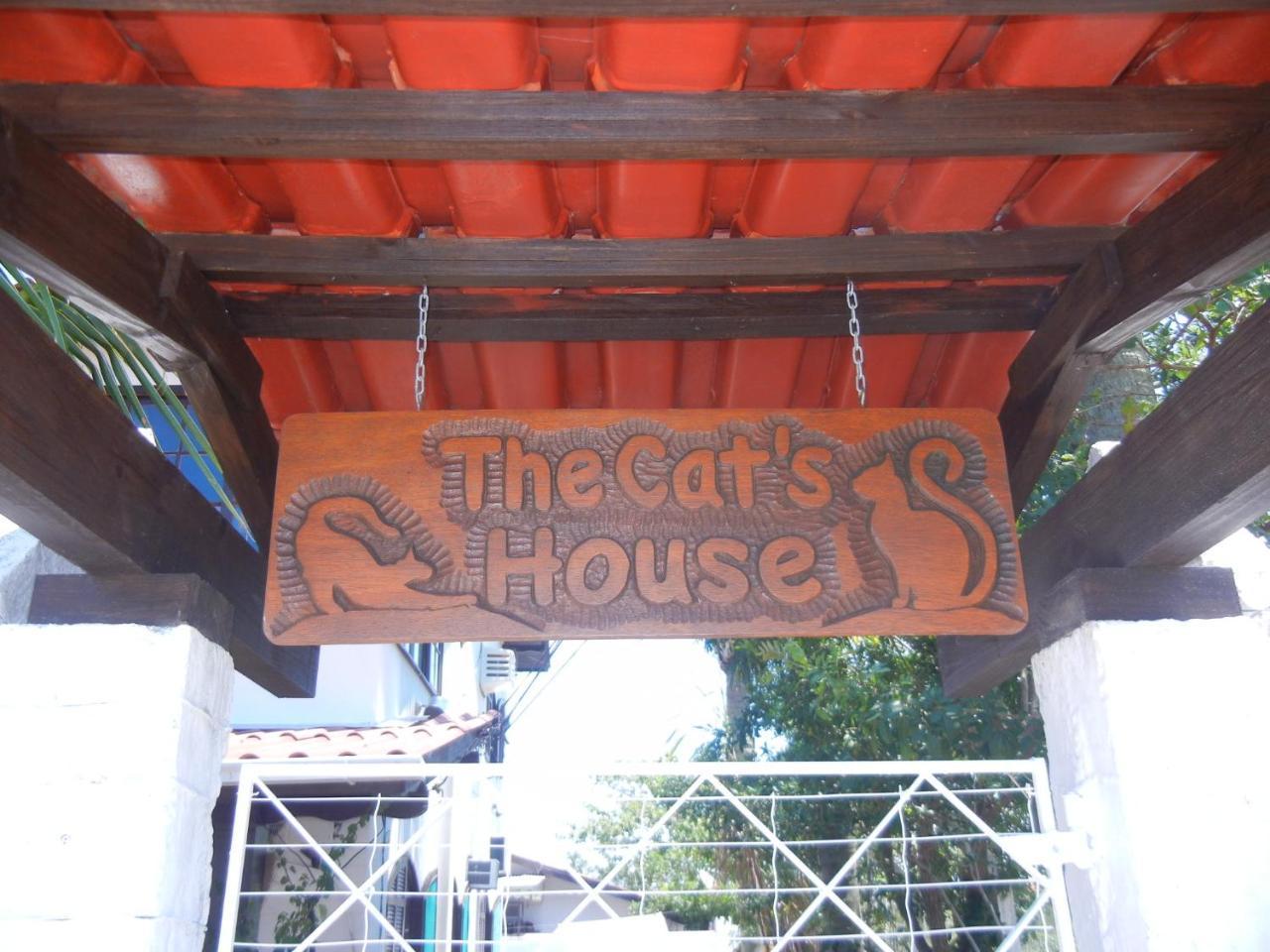 Отель The Cats' House Флорианополис Экстерьер фото